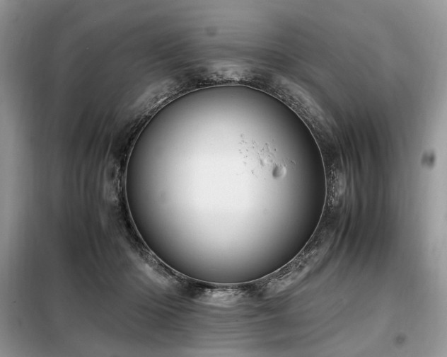 X0000099290414200805021236