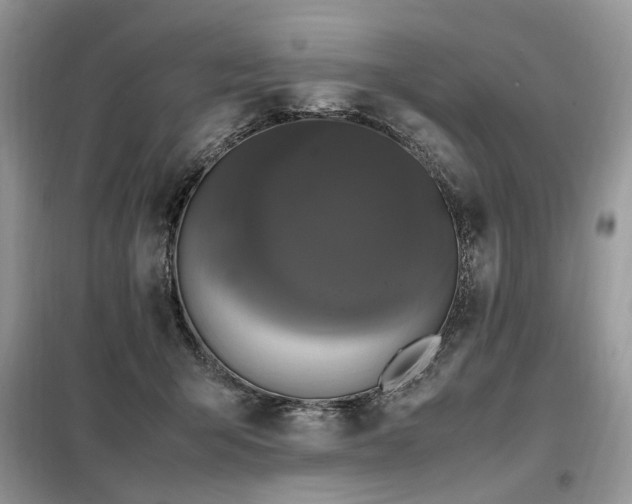 X0000099290415200805021236