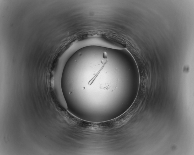 X0000099290416200805021236