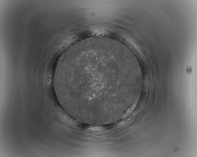 X0000099290417200805021236