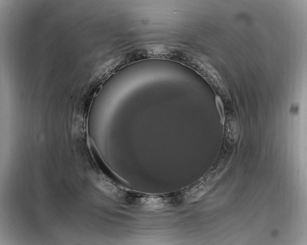 X0000099290419200805021236