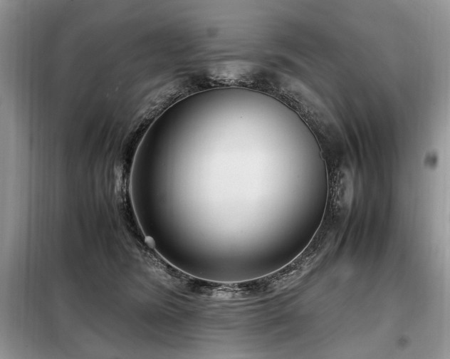 X0000099290420200805021236