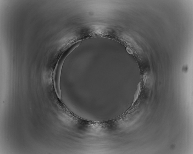 X0000099290423200805021236