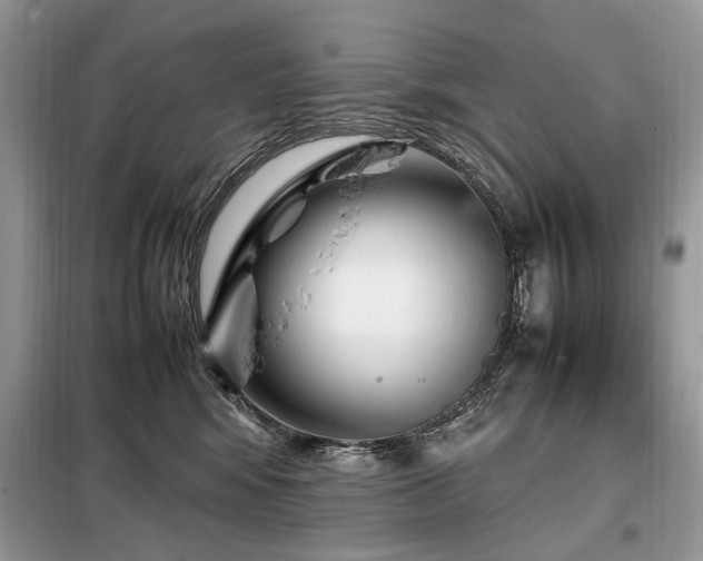X0000099290424200805021236