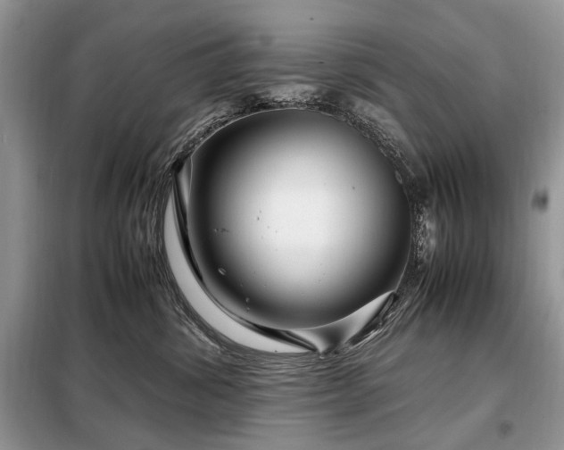 X0000099290428200805021236