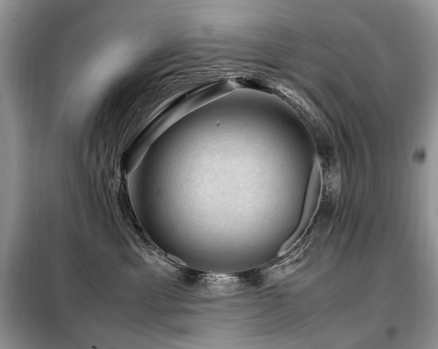 X0000099290429200805021236