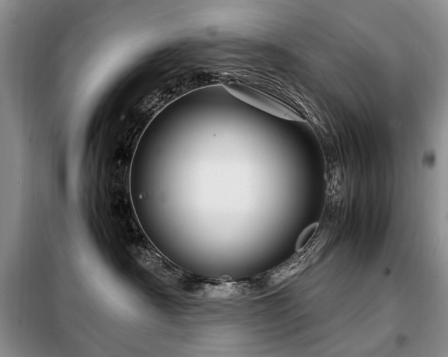 X0000099290430200805021235