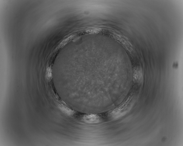 X0000099290431200805021235