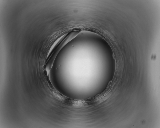 X0000099290432200805021235