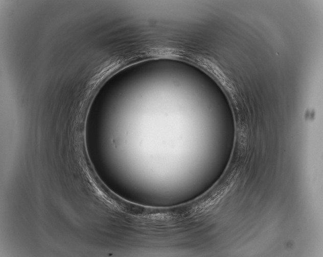 X0000099290433200805021235
