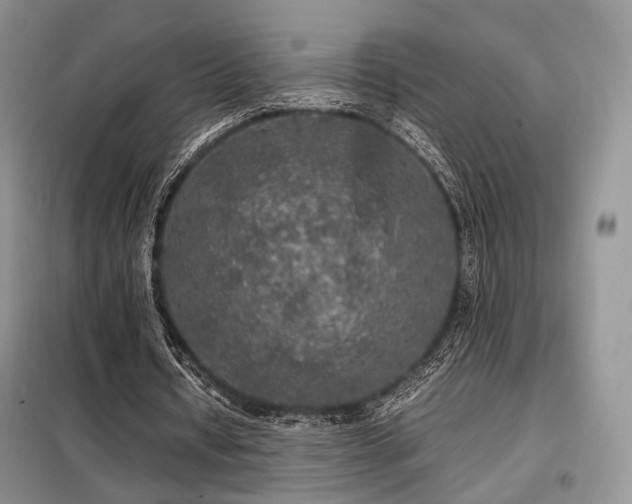 X0000099290434200805021235