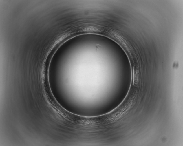 X0000099290435200805021235