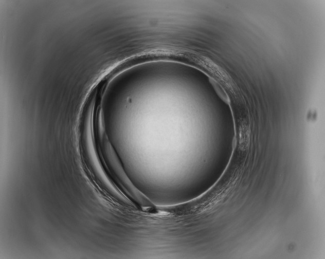 X0000099290436200805021235