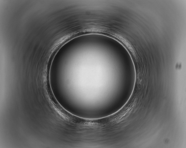 X0000099290437200805021235