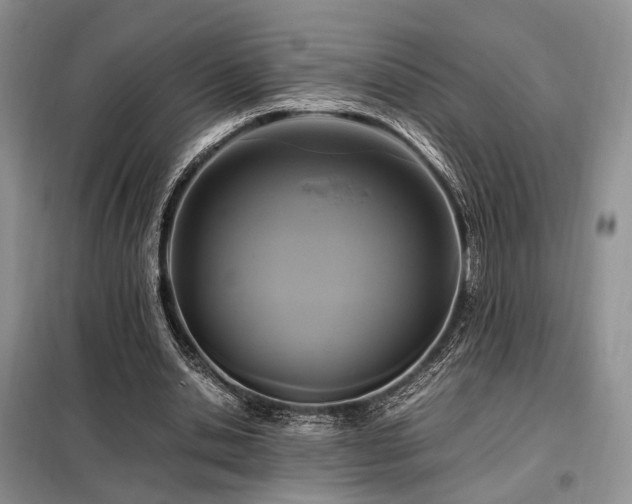 X0000099290438200805021235