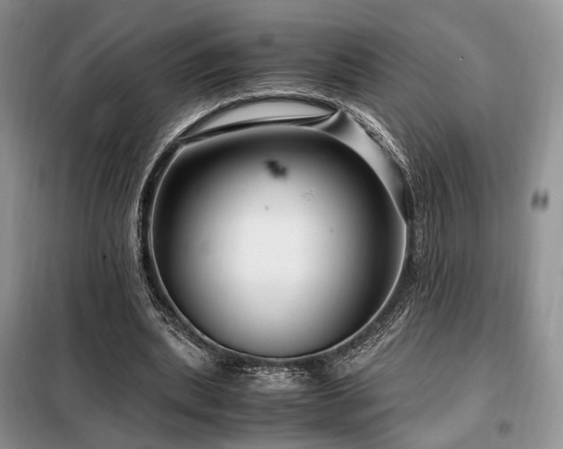 X0000099290439200805021235