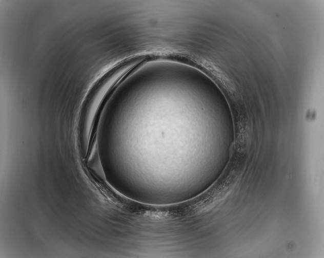 X0000099290440200805021235