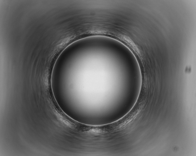 X0000099290441200805021235