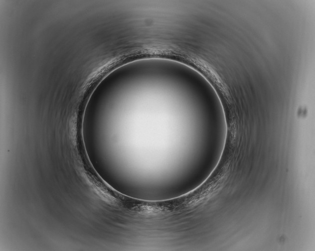 X0000099290442200805021235
