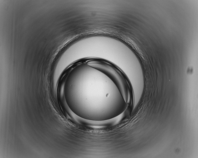 X0000099290444200805021235