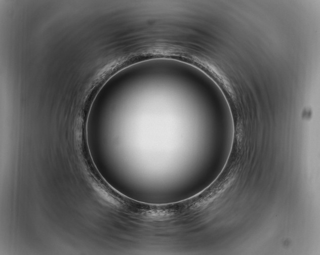 X0000099290445200805021235