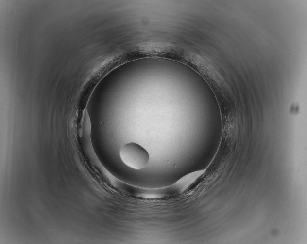 X0000099290448200805021235