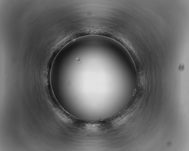 X0000099290450200805021235