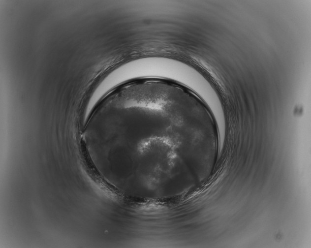 X0000099290451200805021235