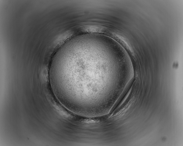 X0000099290453200805021235