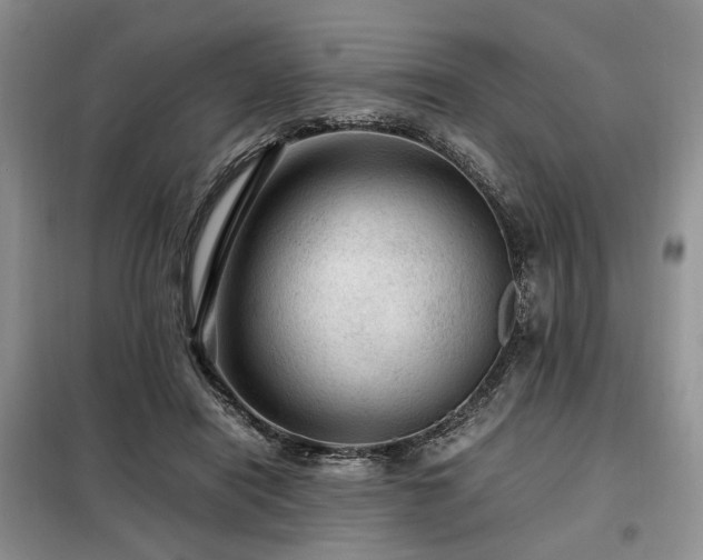 X0000099290454200805021235