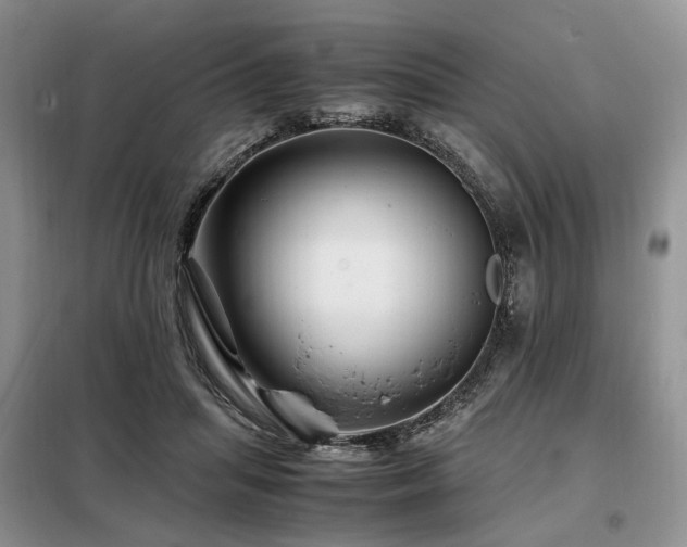 X0000099290455200805021235