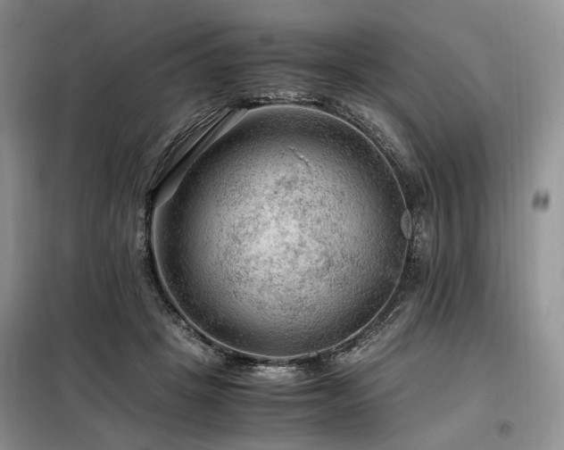 X0000099290457200805021235