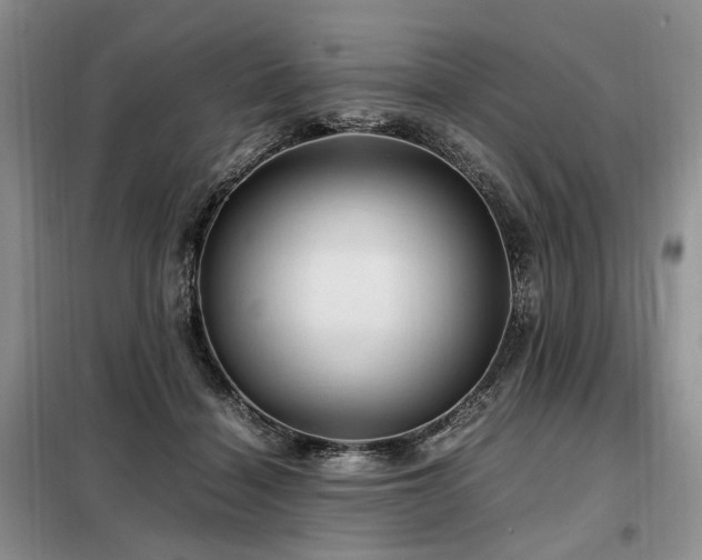 X0000099290460200805021235