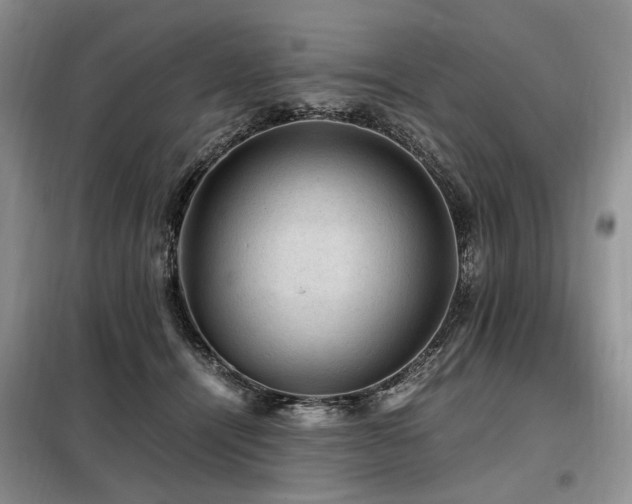 X0000099290464200805021235