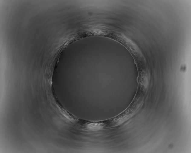 X0000099290465200805021235
