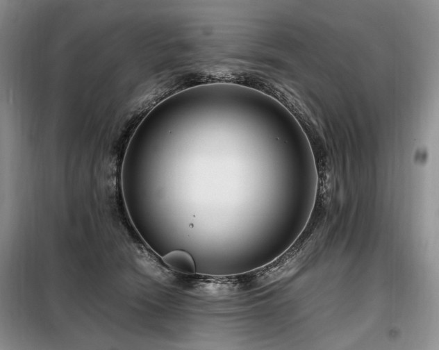 X0000099290466200805021235