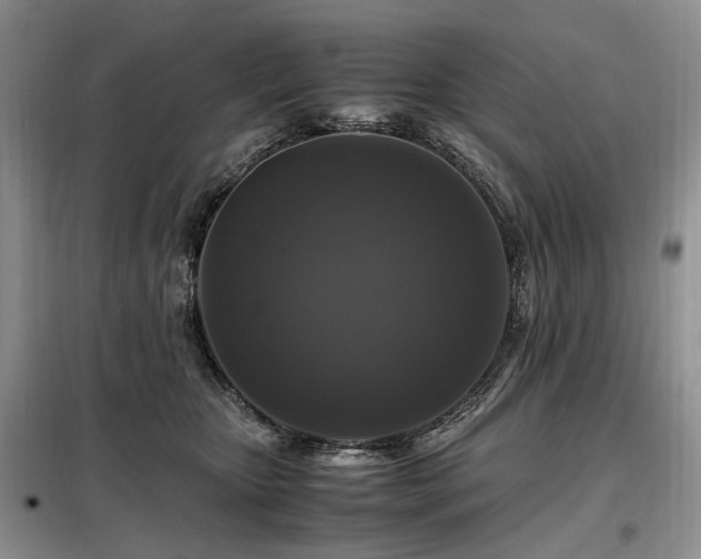 X0000099290467200805021235