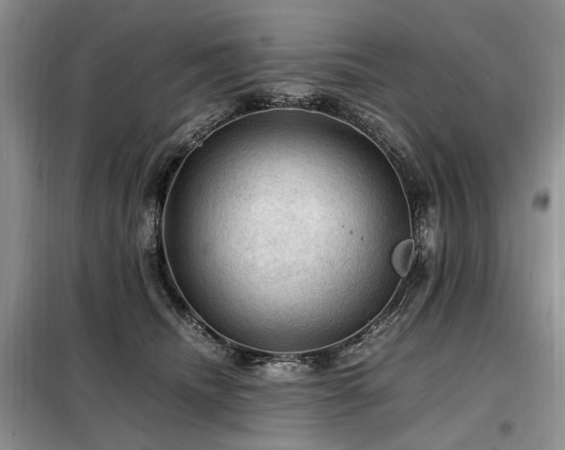 X0000099290468200805021235