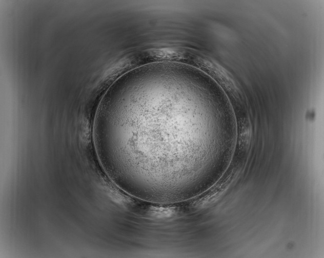 X0000099290469200805021235