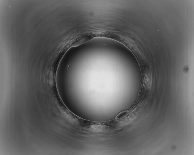 X0000099290470200805021235