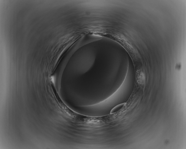 X0000099290471200805021235