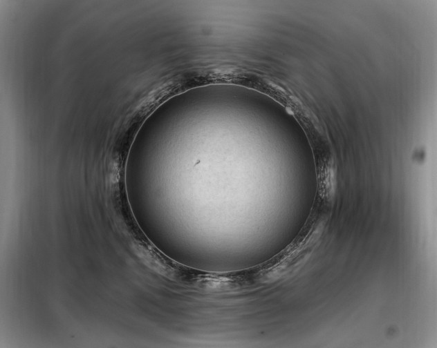 X0000099290472200805021235