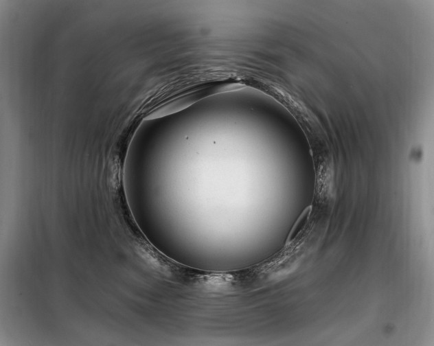 X0000099290474200805021235