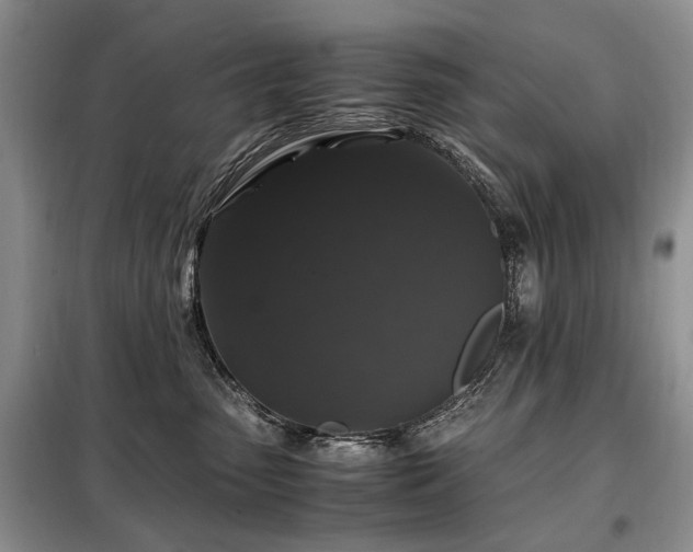 X0000099290475200805021235