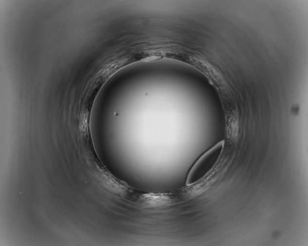 X0000099290477200805021235