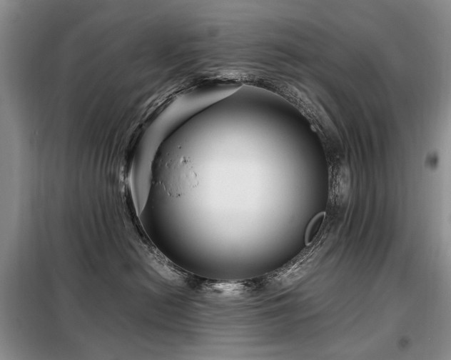 X0000099290478200805021235