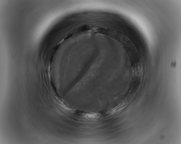 X0000099290479200805021235