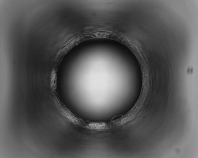 X0000099290480200805021235