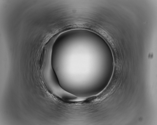 X0000099290481200805021235