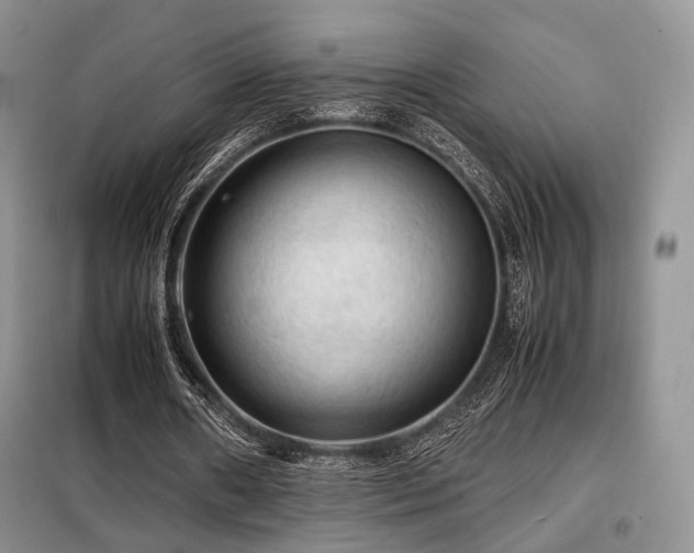 X0000099290482200805021235